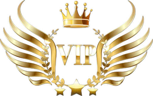 VIP 0